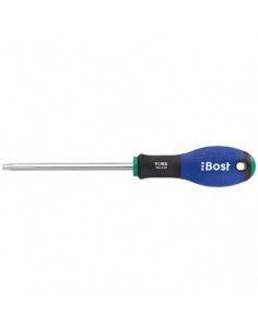 TOURNEVIS TORX T25X100 BOST