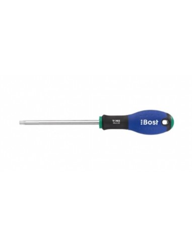 TOURNEVIS TORX T10X75mm EXPERT