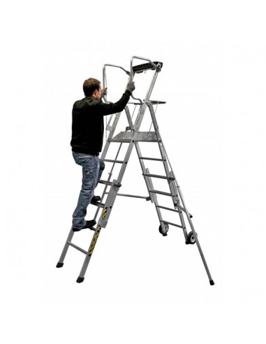 PLATEFORME PIRL MASTERSCOP...