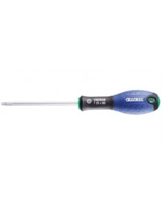 TOURNEVIS TORX T20X100mm...