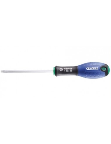 TOURNEVIS TORX T20X100mm EXPERT