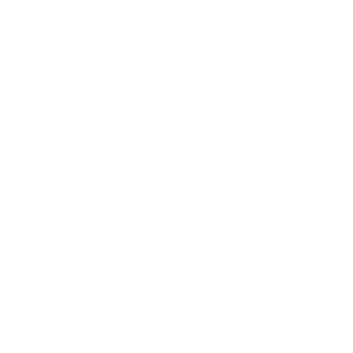 ELECTROPORTATIF